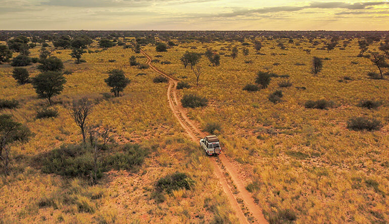 Self Drive Safari